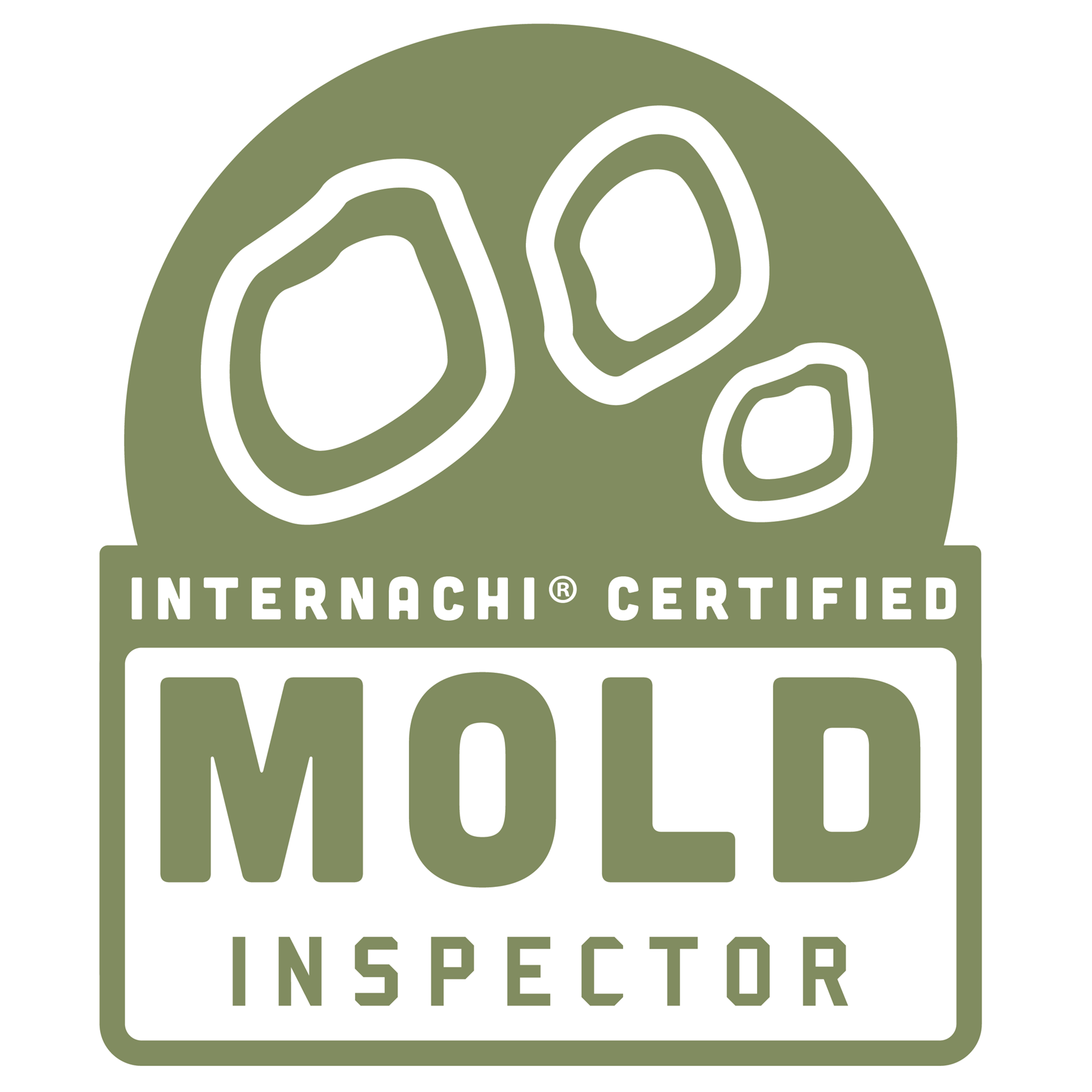 Mold Inspector